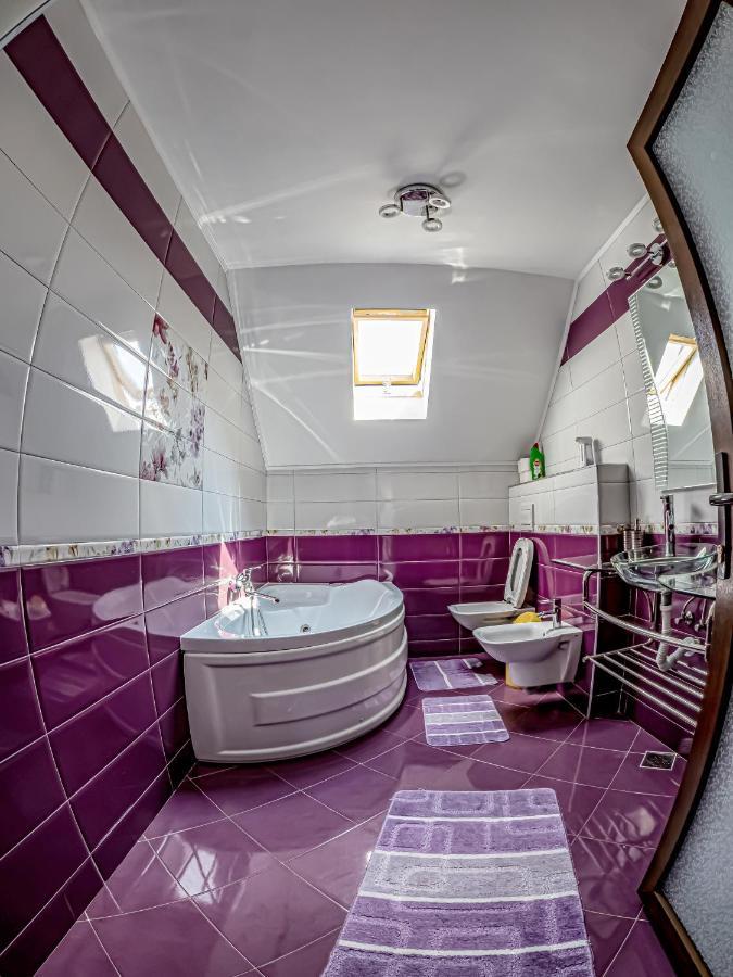 Casa Iulia Villa Pojorîta Exteriör bild