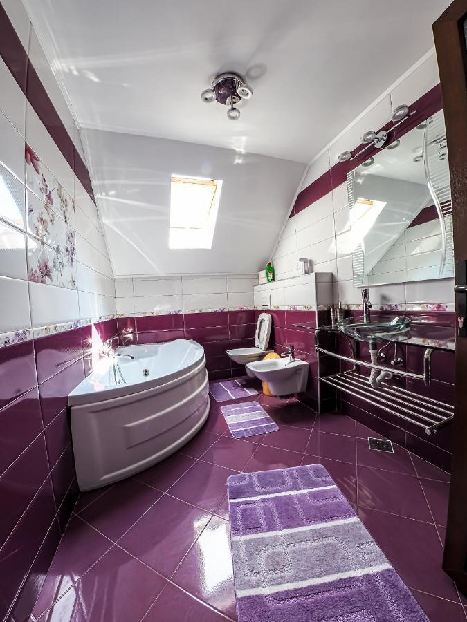 Casa Iulia Villa Pojorîta Exteriör bild
